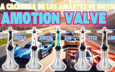 CACHIMBA AMOTION VALVE